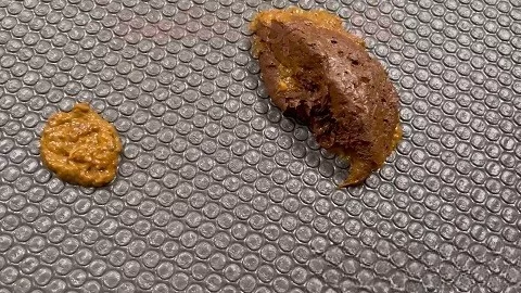 Sophias Sophias Sprinkle Solid Gold Pant Poop (2021)