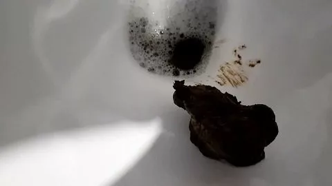 Screenshot 5 from Thefartbabes Stucked Shit In Ass (ScatShop)