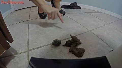 走进你拉屎的阿尔克萨
