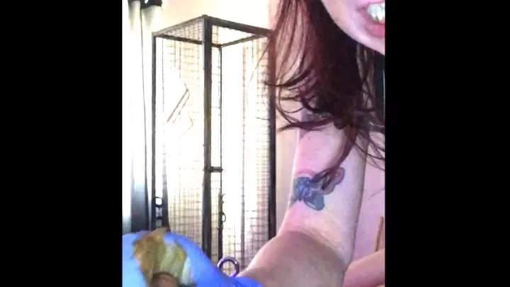 Screenshot 3 aus Wank (01.02.2021) 5,99$ (Premium-Anfrage) über Mistress Julia Taylor