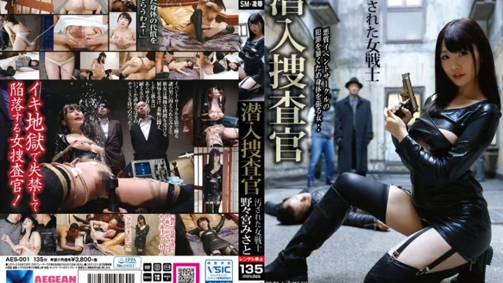 AES-001 野宮美里: 強制された女性戦士 - 縛られた大きな胸のスカートレイプファンタジー