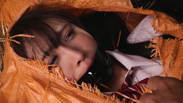 Screenshot 3 from DDK-238 Amane Kanna & Humiliation House: Body Slave PLANT Dogma